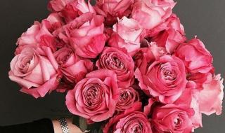 送几朵玫瑰花的含义