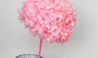 绣球怎么做手工制作